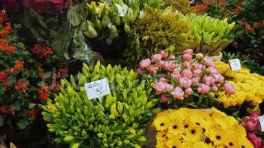 在阿姆斯特丹著名的<strong>花卉市场</strong>上的一个伟大的着色。 提供花束和价格